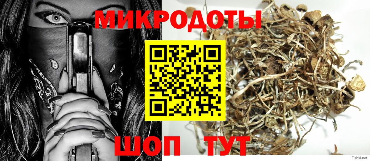 Галлюциногенные грибы Psilocybine cubensis  Вход с VPN  Урюпинск 